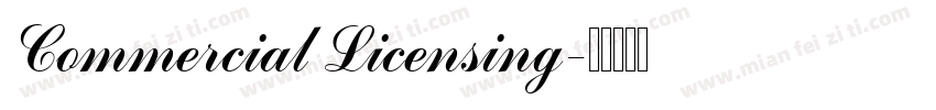 Commercial Licensing字体转换